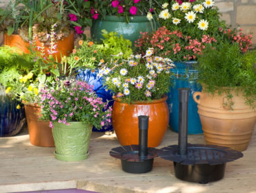 What do you think of self watering containers?